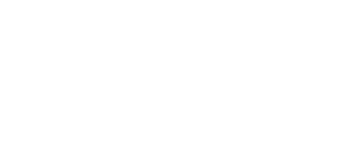 Lakeland Biz Pros, logo